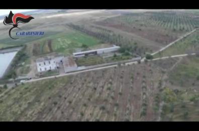 Dda Lecce Noe