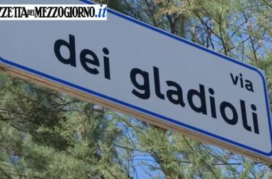 Incendio distrugge falegnameria
di azienda di divani a Modugno