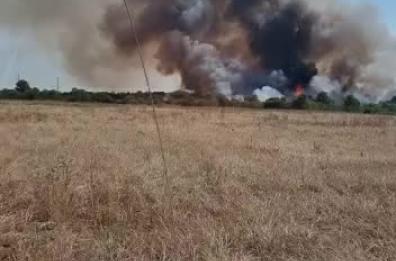 Incendi in Puglia: 50 ettari in fumo nel Foggiano e nel Salento e 10 nel Tarantino