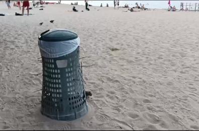 Bari, sulla spiaggia di Pane e Pomodoro non solo bagnanti ma anche topi 