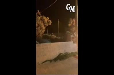 Inferno di fuoco a S.Maria di Leuca: fiamme a ridosso delle ville, decine di famiglie evacuate VIDEO