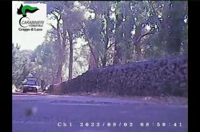 Dà fuoco al bosco, arrestato operatore della Protezione Civile nel Salento: pentito del gesto chiede scusa