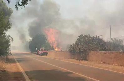 Vasto incendio nel basso Salento in zona Torre Mozza: vigili del fuoco al lavoro