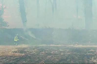Ancora roghi in Puglia: fiamme a ridosso della 274, a fuoco bosco di Presicce