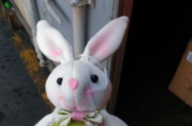 Brindisi, sequestrati nel porto 39mila peluche e 5mila motori per lavatrici