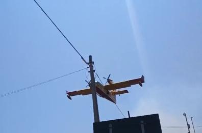 Ancora fiamme nel Salento: distrutti 40 ettari di macchia mediterranea a Torre Chianca. I vigili del fuoco: incendio doloso