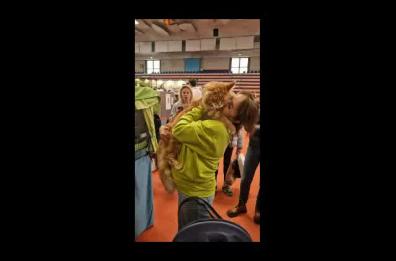 «Felina», a Bari i gatti più belli del mondo in mostra
