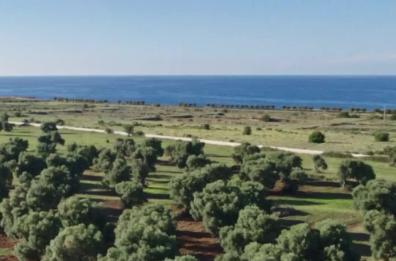 Sale l'attesa per le sfilate di Dolce&Gabbana in Puglia: il video omaggio della maison 