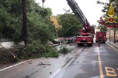 Maltempo nel Salento, ancora danni: cade grosso albero a Lecce