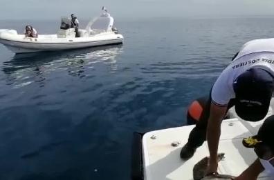Otranto, Ludovica e Mattia tornano in mare: liberate 2 tartarughe 