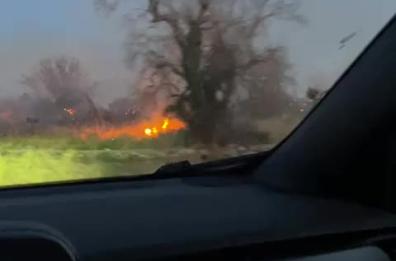 La Coldiretti: «Ulivi secolari ko in Salento, è allarme incendi»