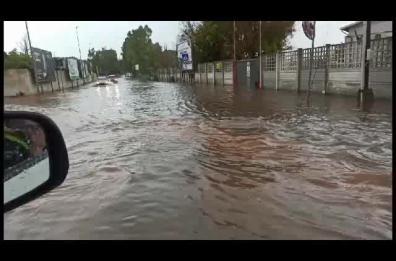 Brindisi sotto una bomba d'acqua, il Comune: «Uscite solo se necessario». A Lecce un pino cade in pieno centro. Allerta arancione anche per venerdì 16 giugno