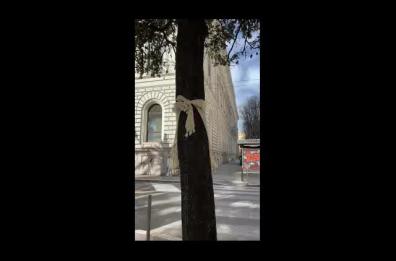 Bari, in piazza Umberto panni stesi ad asciugare su tronchi e cespugli: un degrado che fa indignare