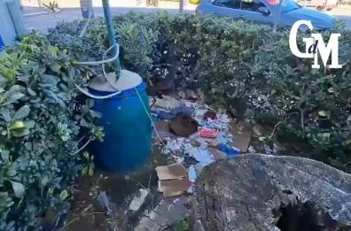 Bari, i giardini del Lungomare di Crollalanza in abbandono tra incuria, degrado e indignazione VIDEO