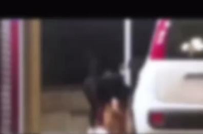 Foggia, lega cane a un palo e lo abbandona davanti agli occhi del figlio in lacrime