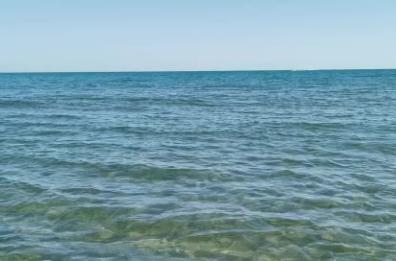 Policoro, tartarughine in arrivo nella riserva naturale sulla costa lucana