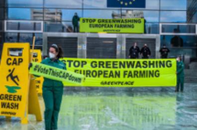 Greenwashing e comunicazione sociale, i nodi da sciogliere
