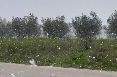 Freddo e neve in Puglia e Basilicata: è arrivato il «vero inverno»