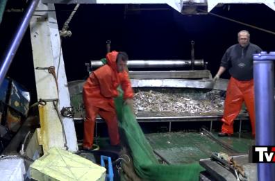 Puglia, inchiesta Tv7: i pescatori sfidano l'Ue e gettano in acqua le reti «vietate»