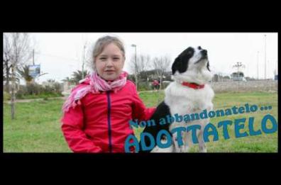 Monopoli, lo spot
del Comune
per adottare i cani