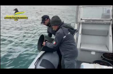 Raccolgono abusivamente 150kg di ricci di mare: scoperti dalla GdF a Taranto