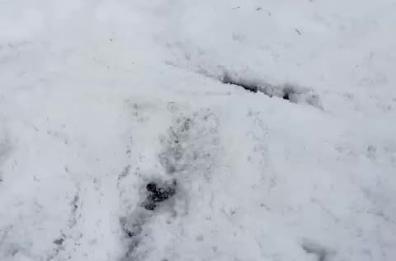 Crispiano, violenta grandinata improvvisa: strade e campi imbiancati «sembra un paesaggio invernale» VIDEO Crispiano, violenta grandinata improvvisa: strade e campi imbiancati «sembra un paesaggio invernale» VIDEO