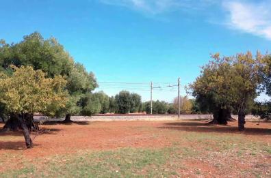 Fs in Puglia, parte la stagione invernale: 1h 25' Lecce-Bari con unica fermata a Brindisi
