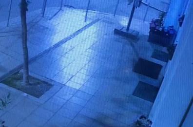 Bari, il Bar Viola preso di mira dai ladri di fiori: il proprietario pubblica il video sui social
