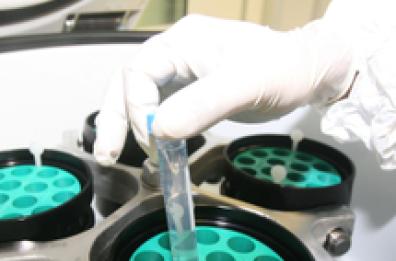 «Palese sblocchi in Puglia i test genetici contro il cancro». Bellomo: «Teatrino Emiliano-Amati»