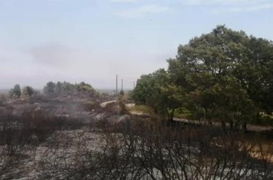 Fiamme a Palmariggi, nel Salento: a fuoco 5 ettari di bosco