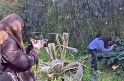 #Occhioalverde, il contest fotografico riapre il vivaio comunale di Bari: «Luogo del cuore FAI, il sogno di un bosco urbano»