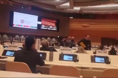 Forum Ginevra, la rivolta dei sindaci capeggiata da presidente Provincia Potenza Guarino