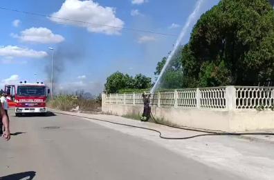Acquarica, le fiamme raggiungono una palma a ridosso delle case: scongiurato il peggio tra le auto parcheggiate VIDEO
