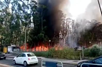 Nova Siri, fiamme nel camping Jonio: tanti danni e nessun ferito 
