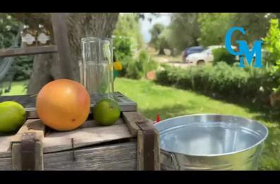 Ecco Pugliarello, un’esperienza che coinvolge: l'evento a Ostuni