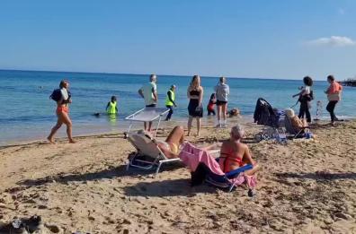 2 novembre in Puglia: tra tradizione nei cimiteri e spiagge affollate per il caldo anomalo 2 novembre in Puglia: tra tradizione nei cimiteri e spiagge affollate per il caldo anomalo