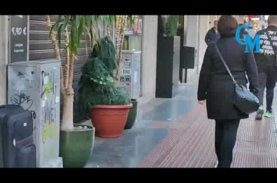 Bari, in piazza Umberto la pianta prende vita e «saluta» i passanti