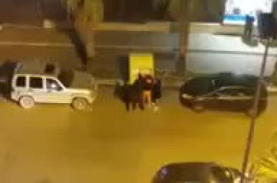 Andria, fecero esplodere un cassonetto: daspo urbano per tre giovani 