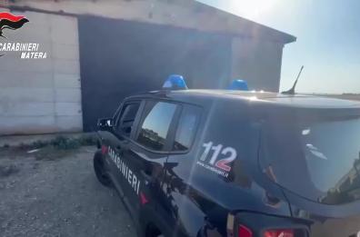 Mezzi agricoli rubati e rivenduti illegalmente: cc al lavoro tra Puglia e Basilicata ne recuperano 20