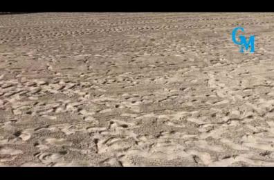 Bari, a Pane e Pomodoro è vietato fare il bagno: dagli altoparlanti il messaggio per i turisti, anche in inglese