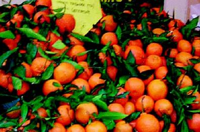 Agrumi tarantini, i produttori rilanciano