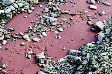 Calvello, acqua color 
porpora nel torrente