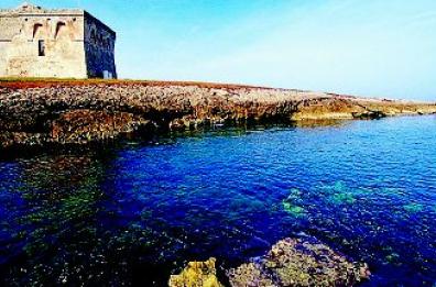 «Salvare il Canale Reale significa 
salvare anche Torre Guaceto»
