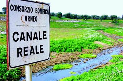 Canale Reale, 200mila euro
dall'Arneo per la bonifica