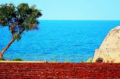 Polignano, stop al Parco dei Trulli 
«Impossibile costruire le villette»