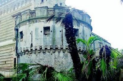 Farfalla mangia-palme 
«avvistata» nel Salento