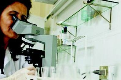 Cura dell'epatite C
nuove speranze
