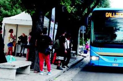 Sos dai turisti: 
«Pulite le strade»