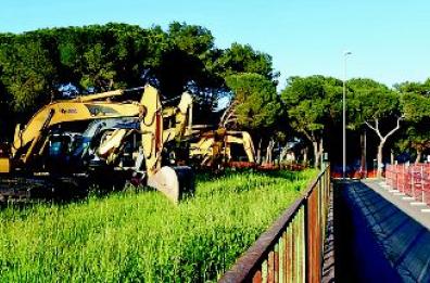 Uuna catena umana 
per difendere gli alberi