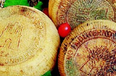 Canestrato di Moliterno
a processo due produttori